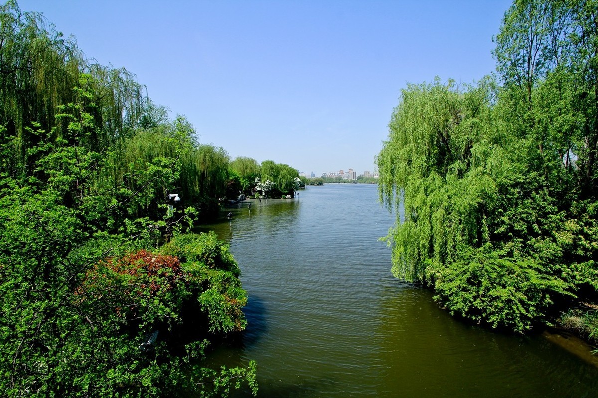 仲春——明湖风光 （二）