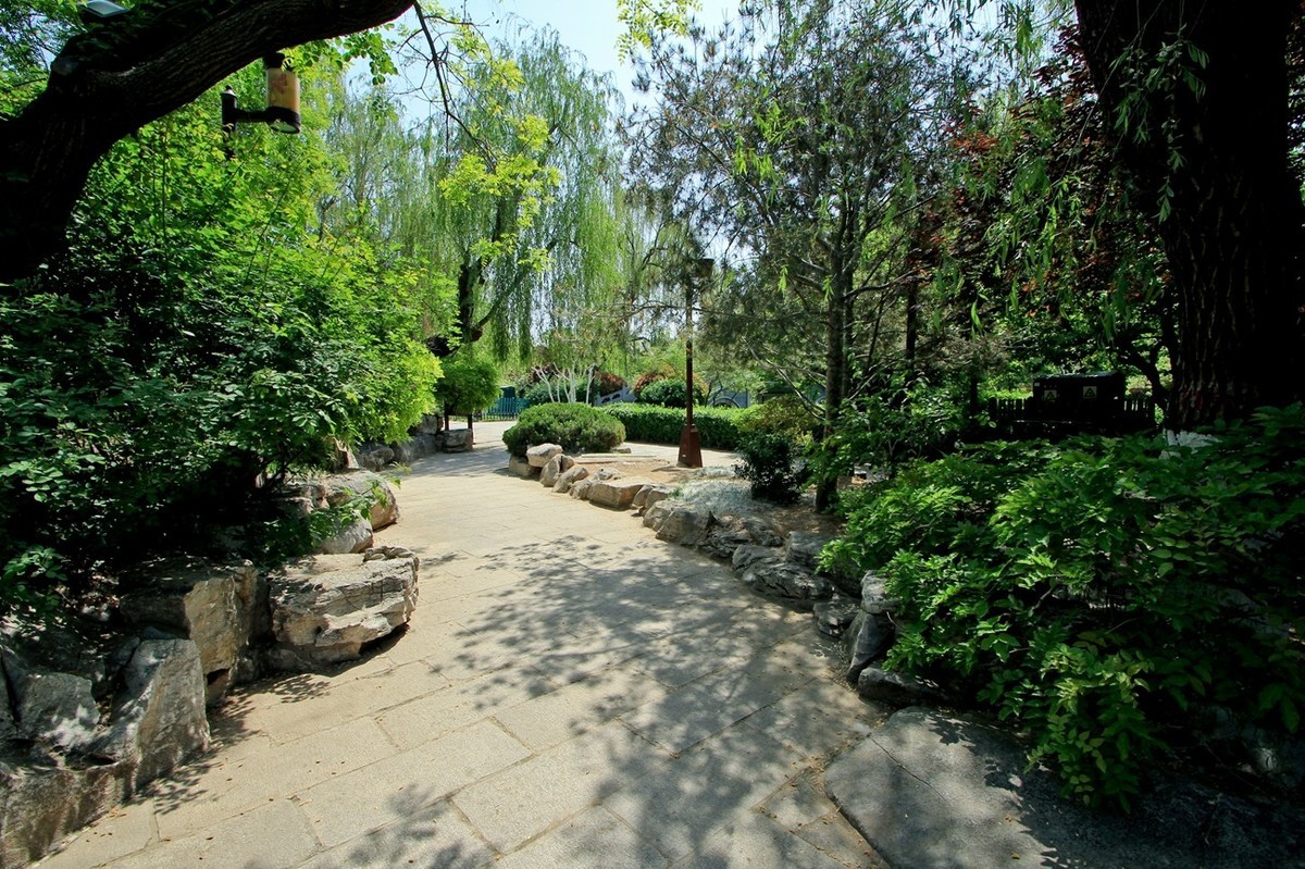 仲春——明湖风光 （二）