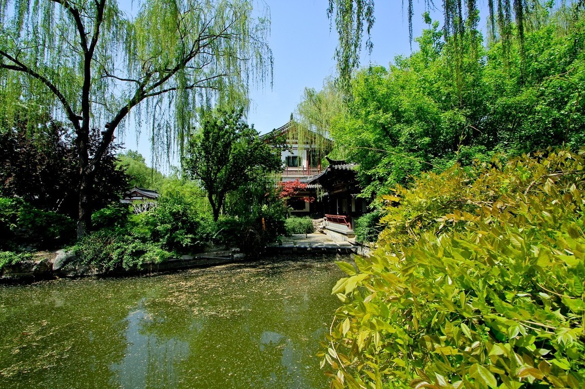 仲春——明湖风光 （二）