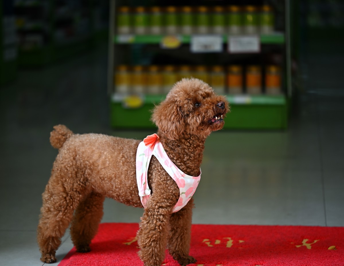 夏日城市的足印（壹）