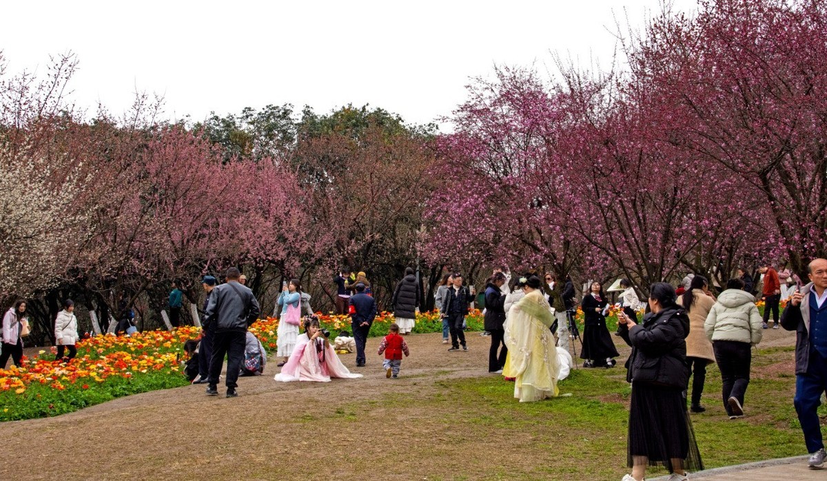 2025.2.26，游成都植物园1（人像）。