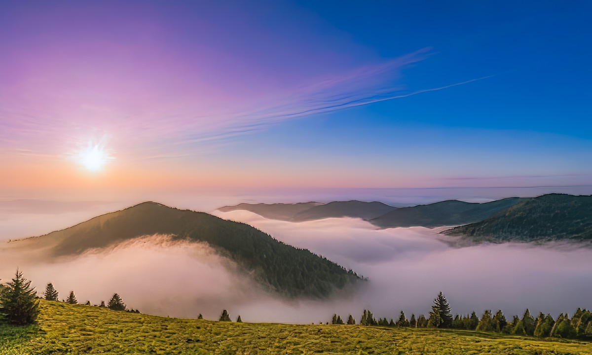 心灵的净化与洗涤