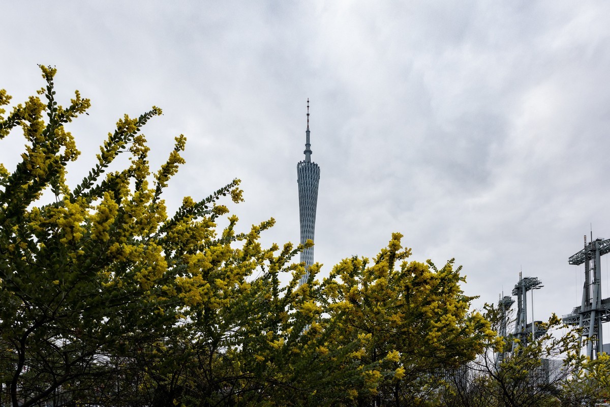 花城广场（6）完