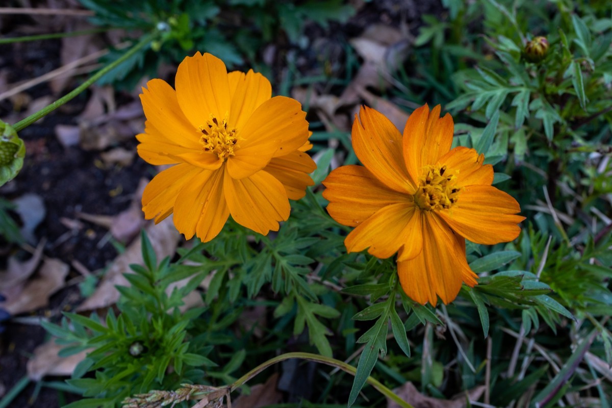 花城广场（6）完