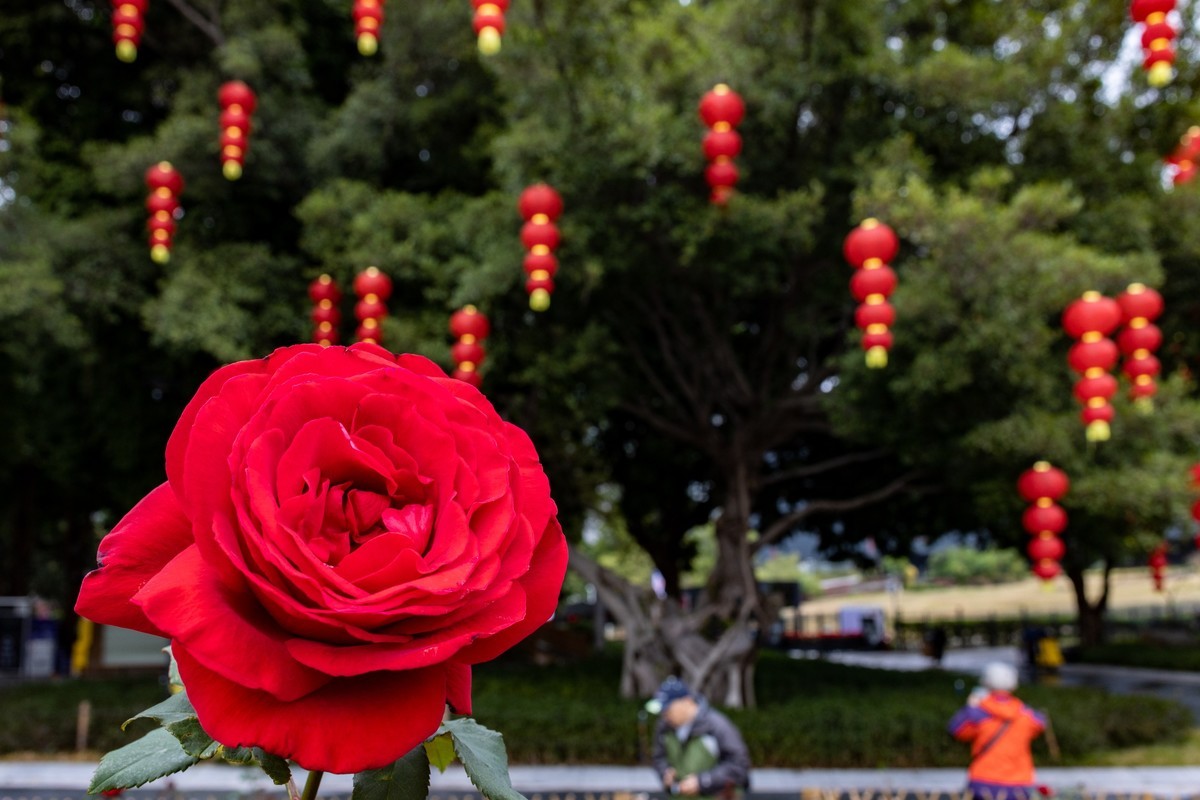 花城广场（6）完