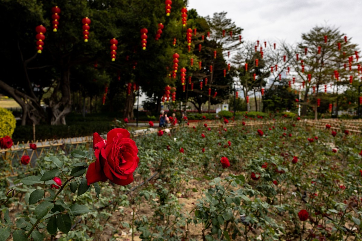 花城广场（6）完
