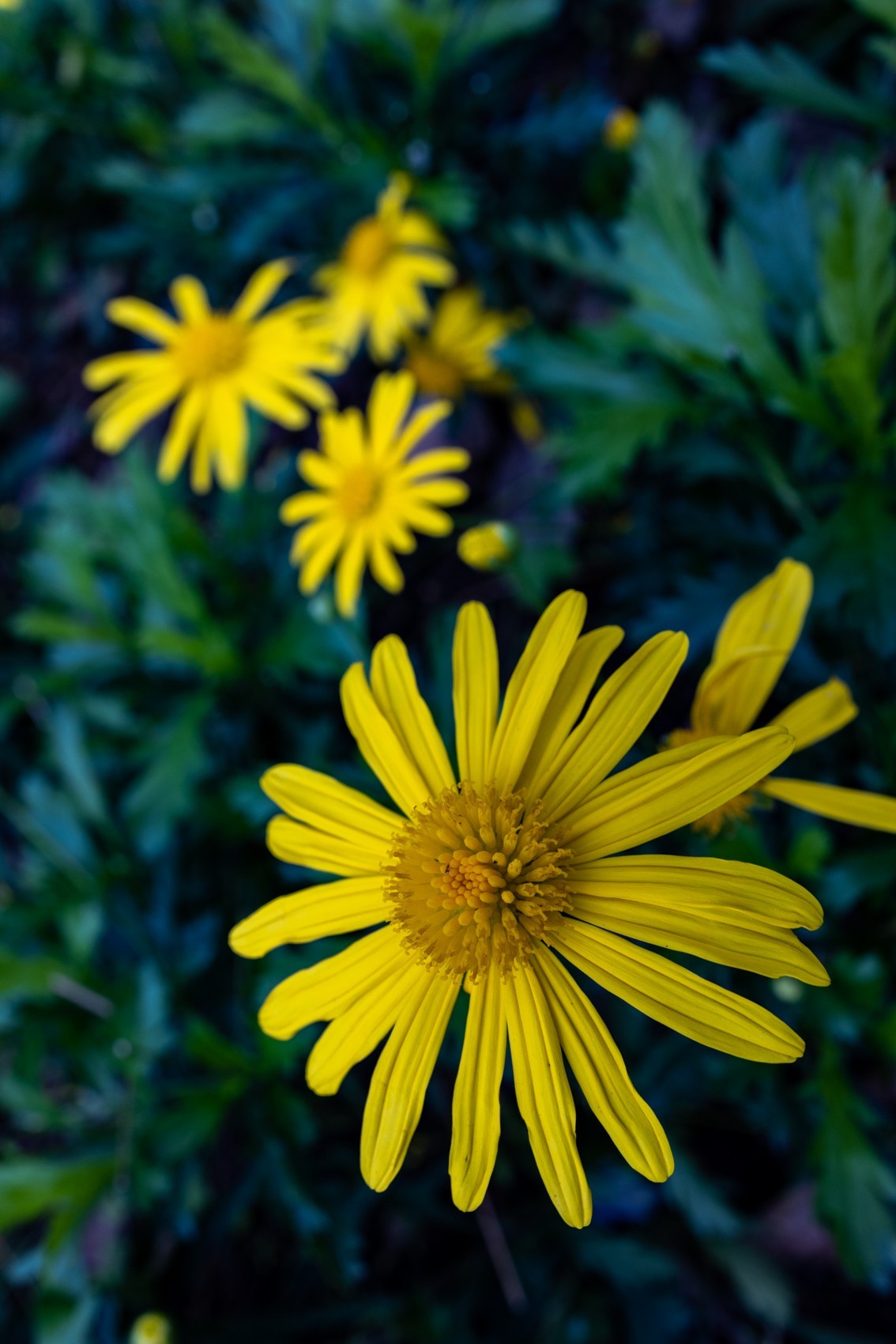 花城广场（6）完