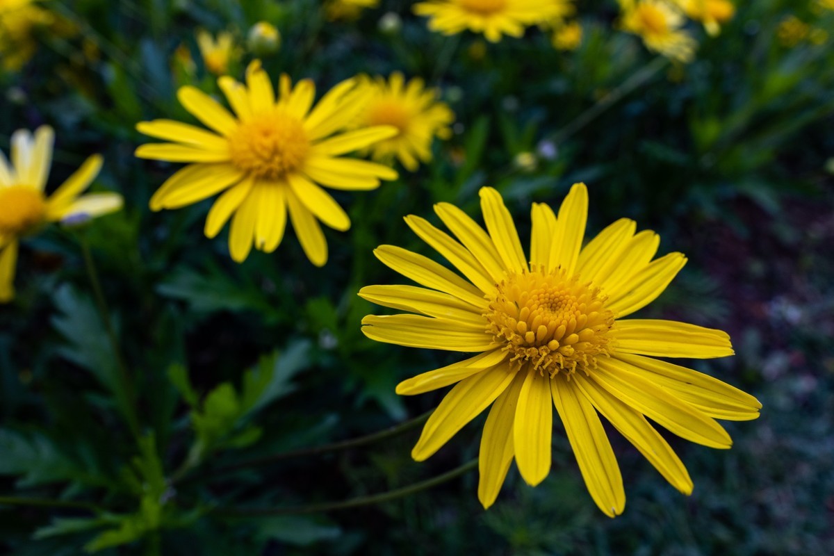 花城广场（6）完