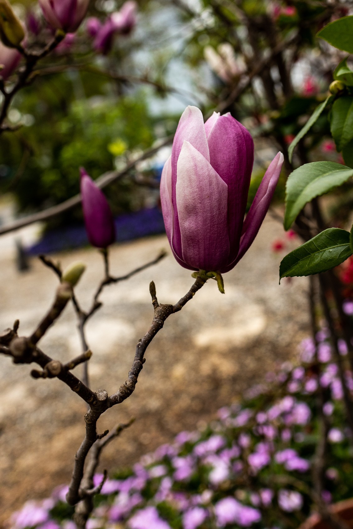 花城广场（6）完