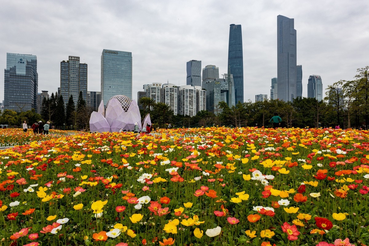 花城广场（6）完