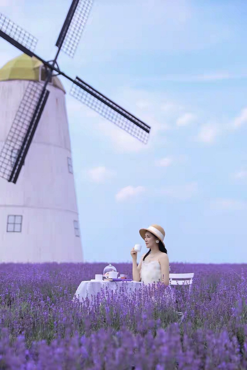 熏衣草中人像--长沙月亮岛5