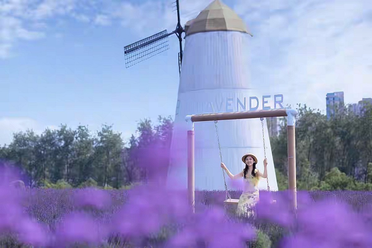熏衣草中人像--长沙月亮岛5