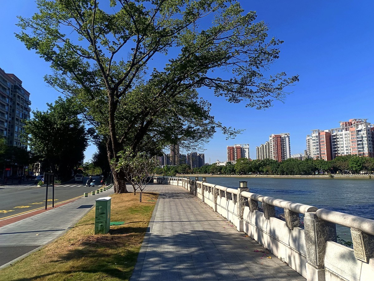 龙舟文化公园（完）