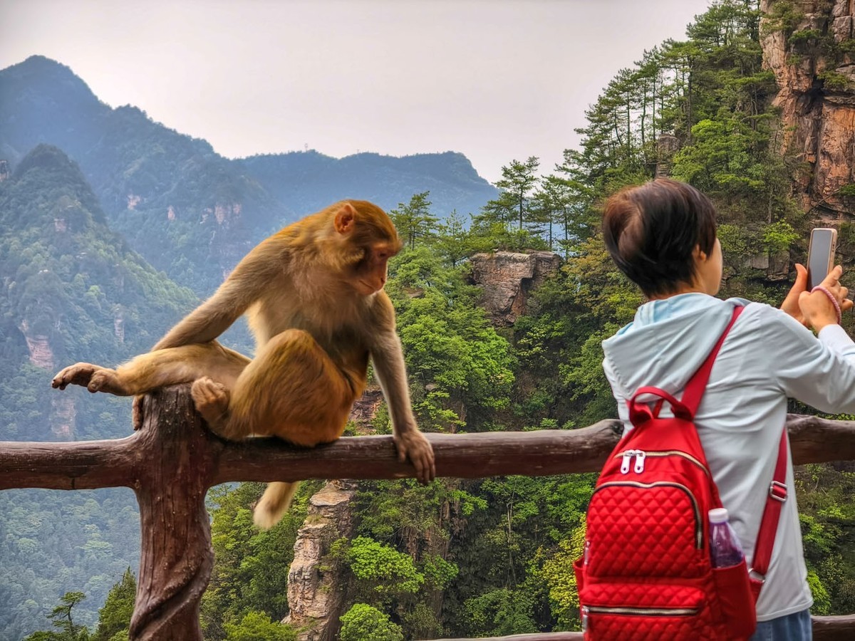 张家界     武陵源之黄石寨（4）