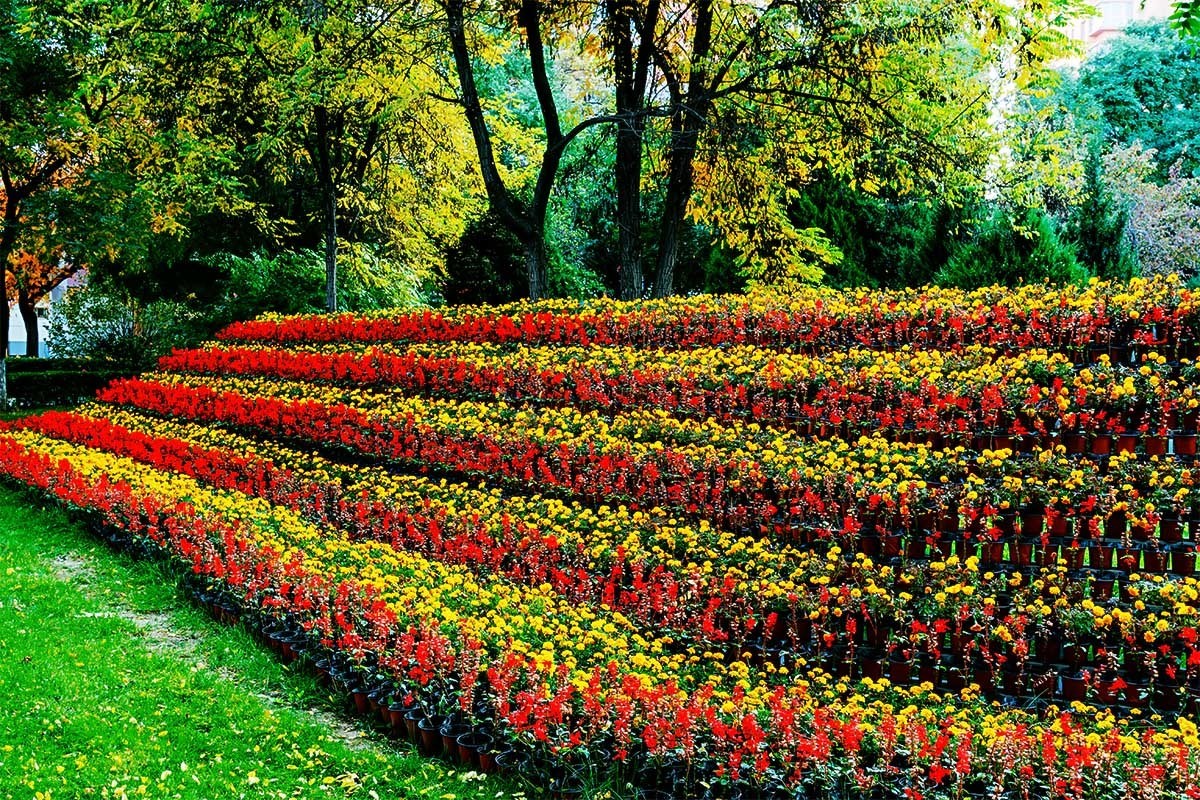 随                                      拍