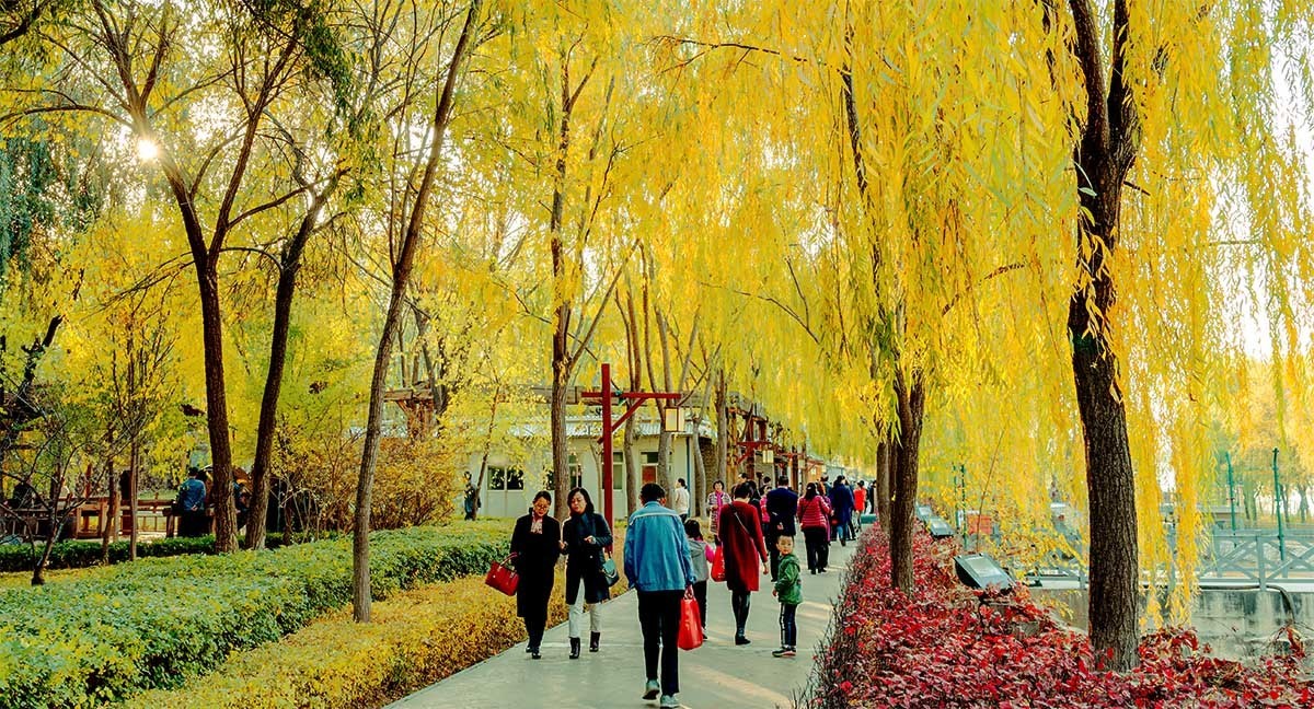 随                                      拍