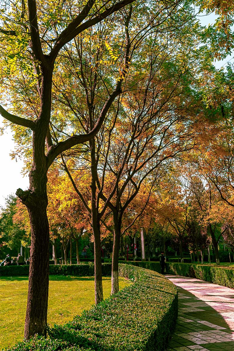 随                                      拍