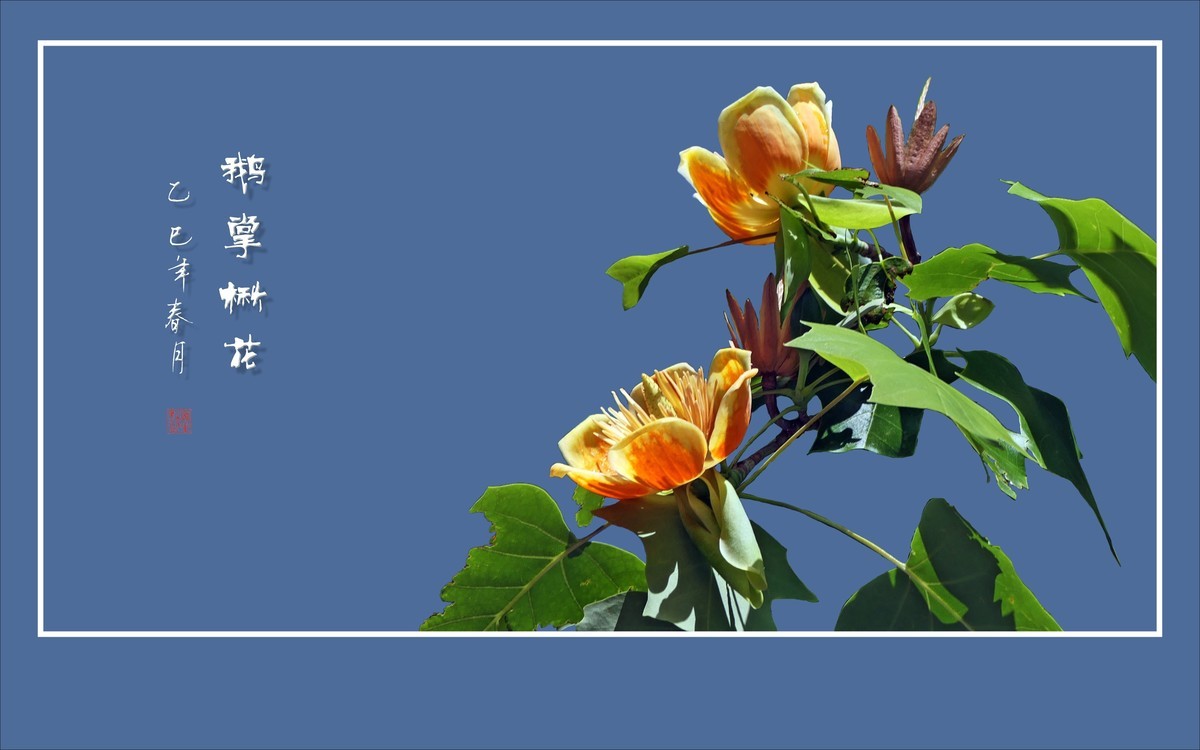 风推金杯现金条，未见洒酒却洒香