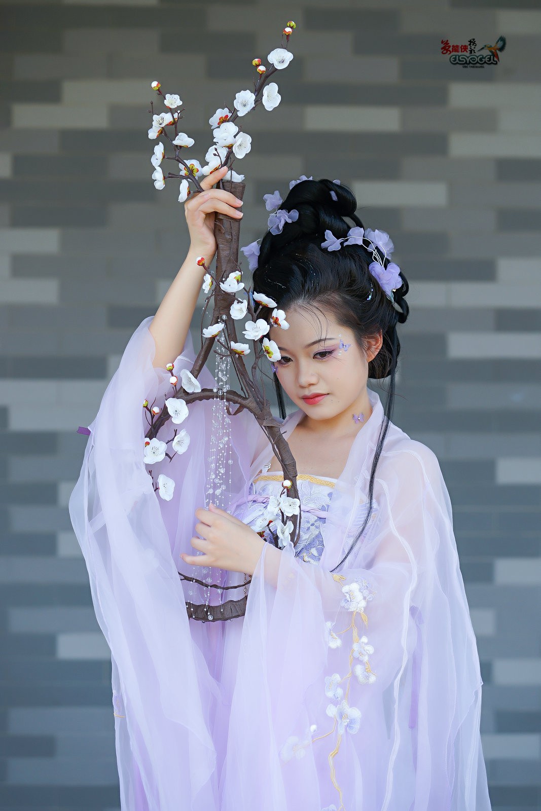 【紫云漫舞】---小越