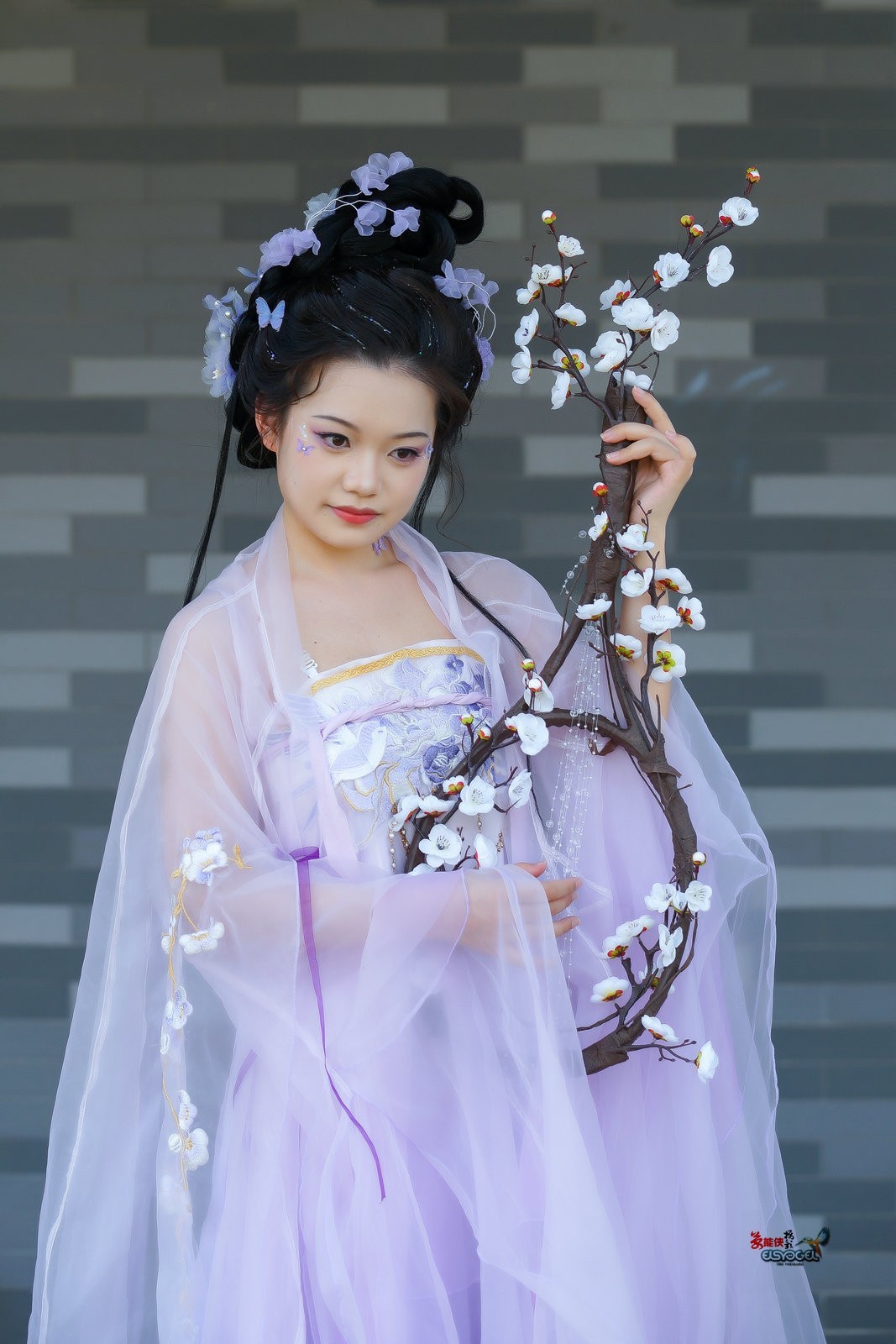 【紫云漫舞】---小越