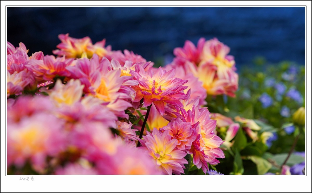 大吉大利 百年好合 春节快乐