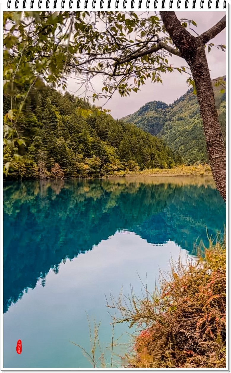 2022年九寨沟云拍-44