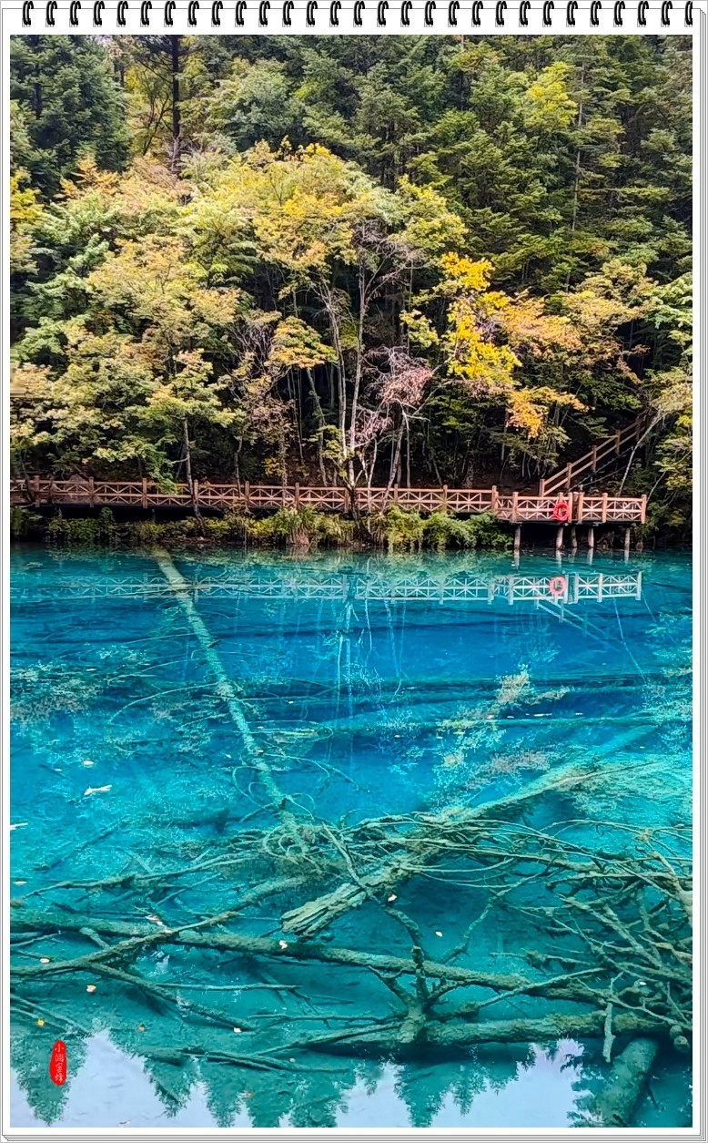 2022年九寨沟云拍-44