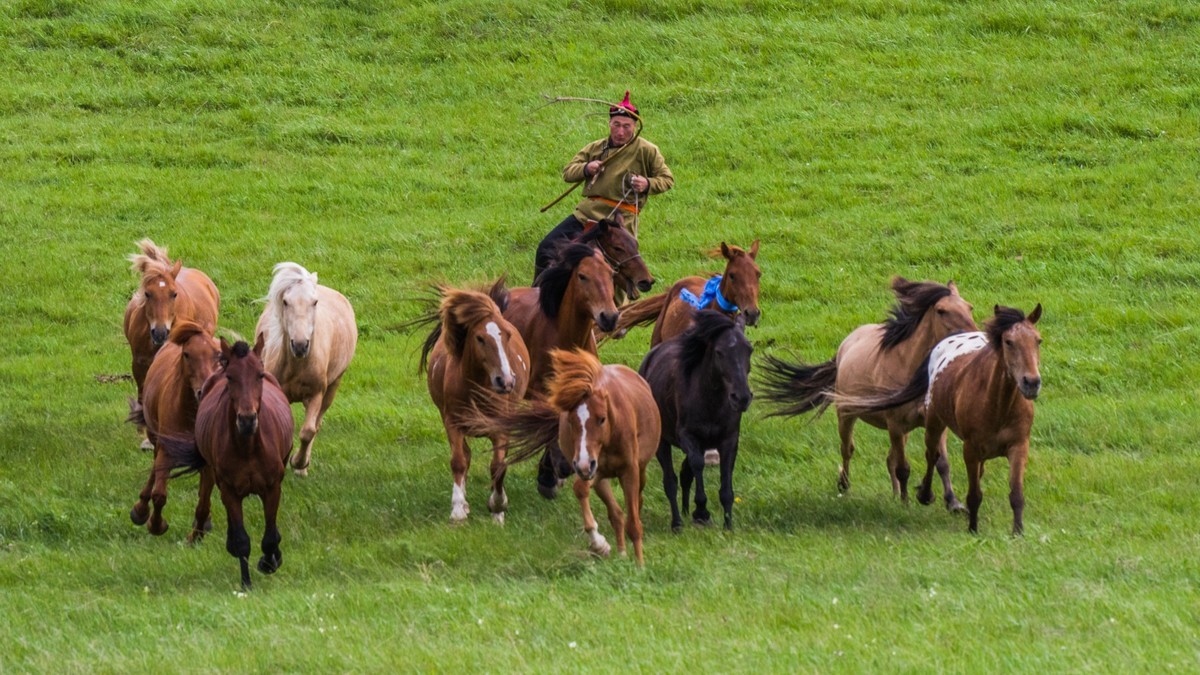 21.6 草原的夏天 （四）------骑手套马