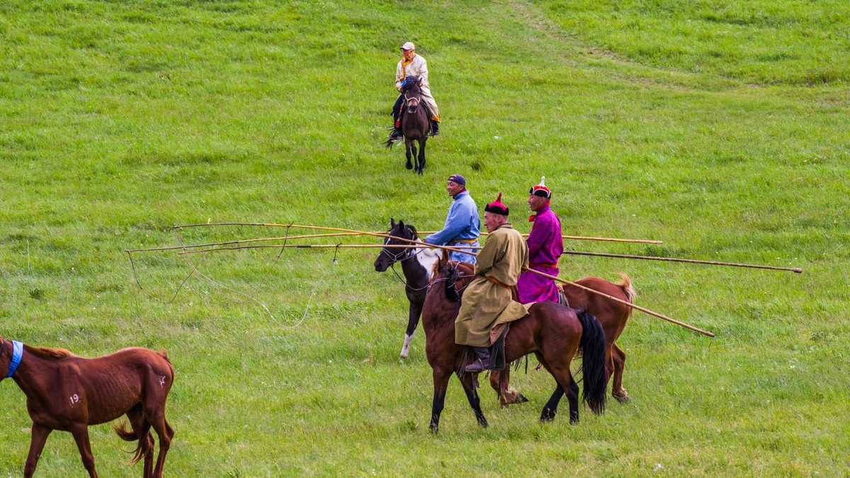21.6 草原的夏天 （四）------骑手套马