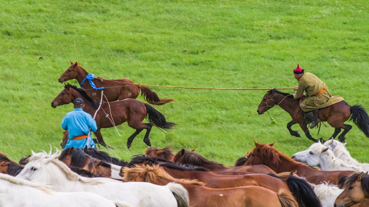 21.6 草原的夏天 （四）------骑手套马