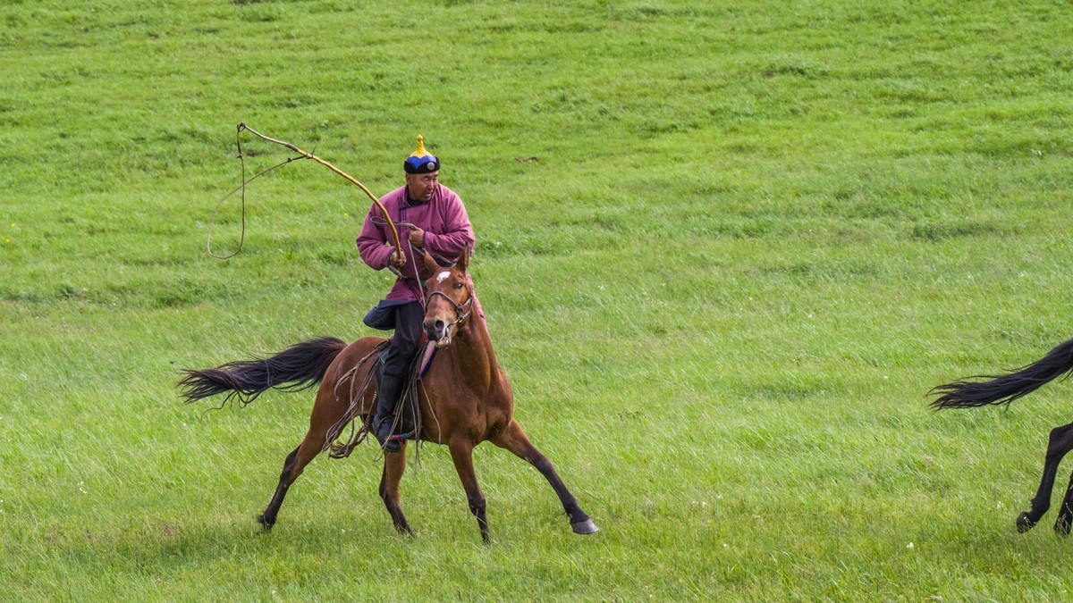 21.6 草原的夏天 （四）------骑手套马