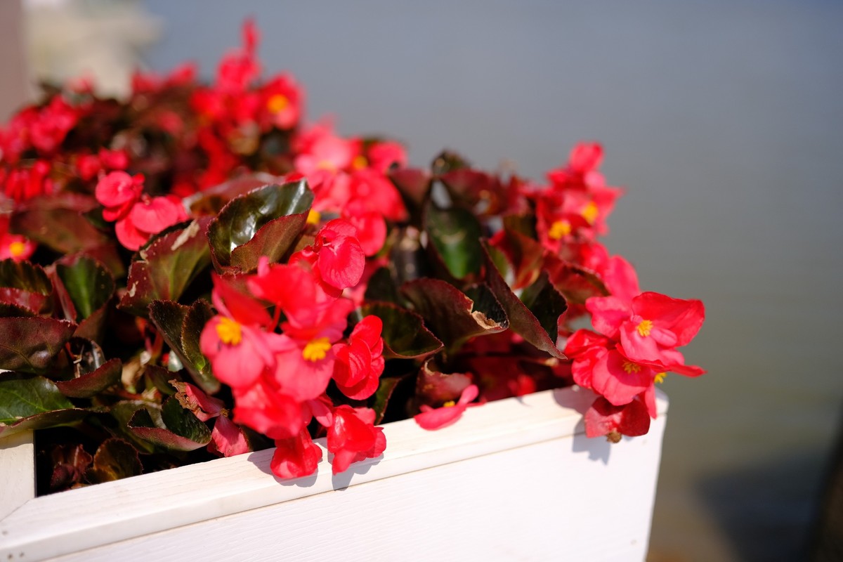 好久没摸相机了，胡乱拍几张