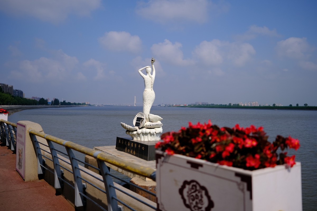 好久没摸相机了，胡乱拍几张