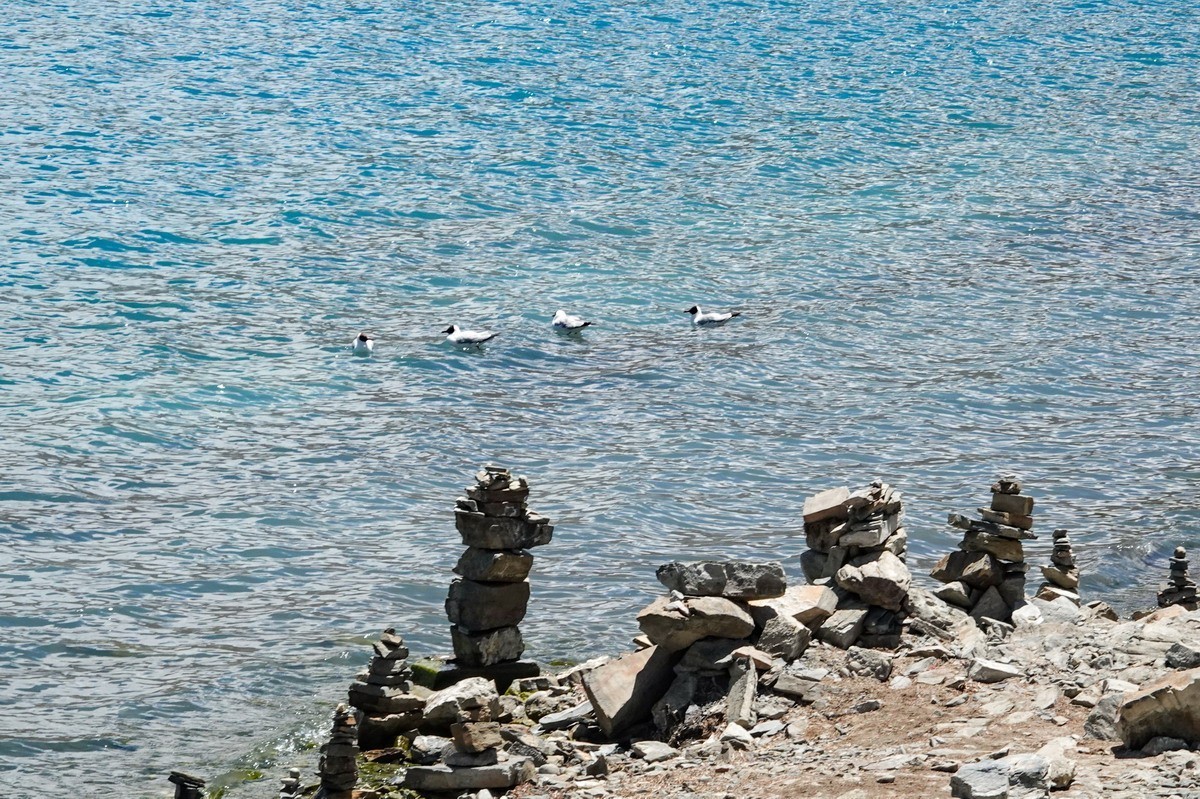 西行散记——羊卓雍错