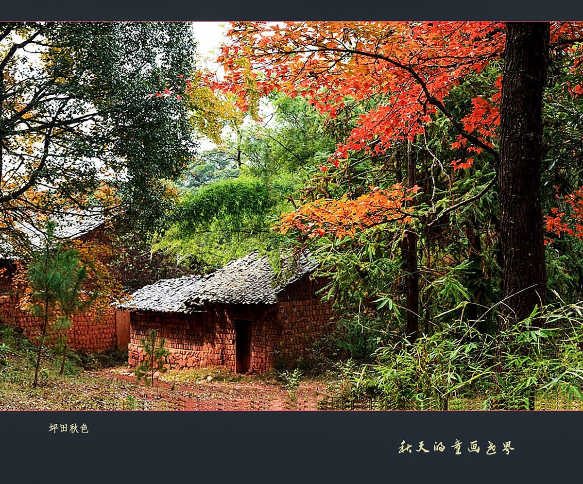 【秋天的童话世界】1