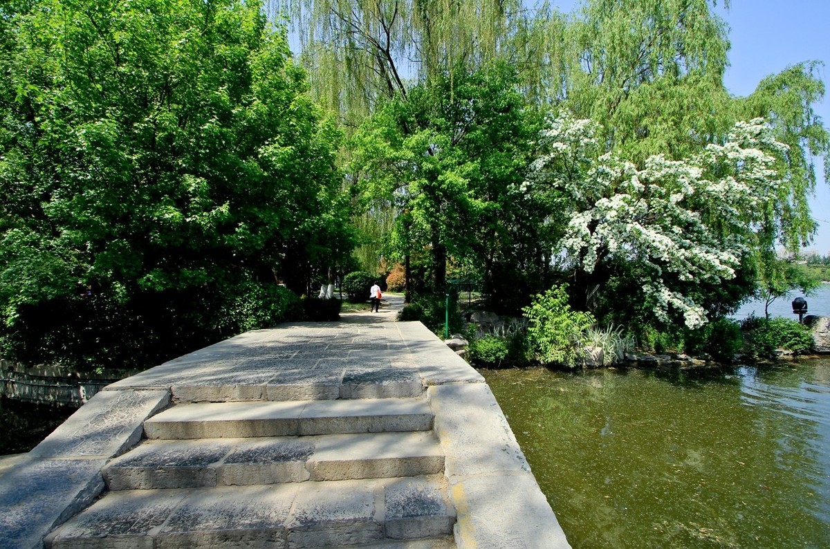 仲春——明湖风光 （二）