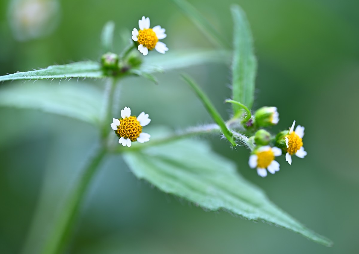 夏日城市的足印（贰）