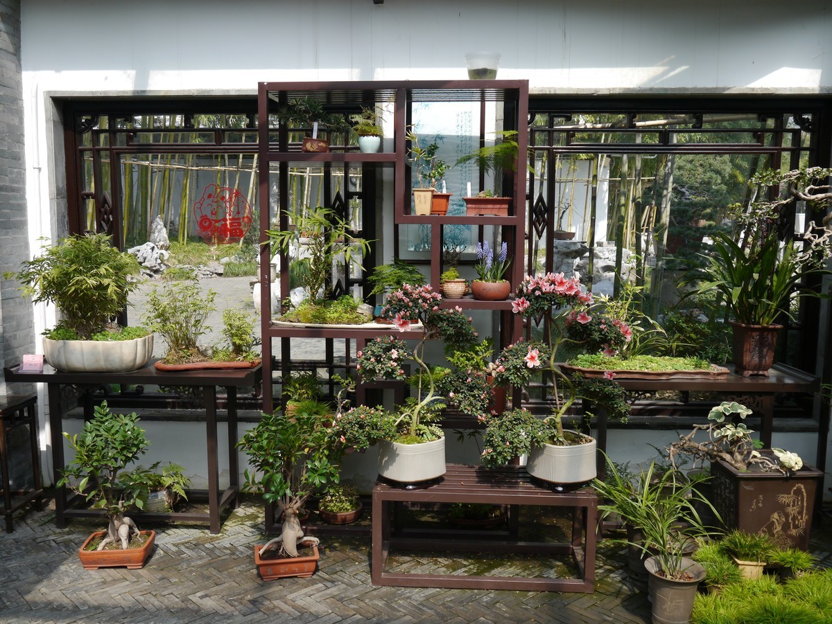 江南行之扬州篇--走进个园（1）