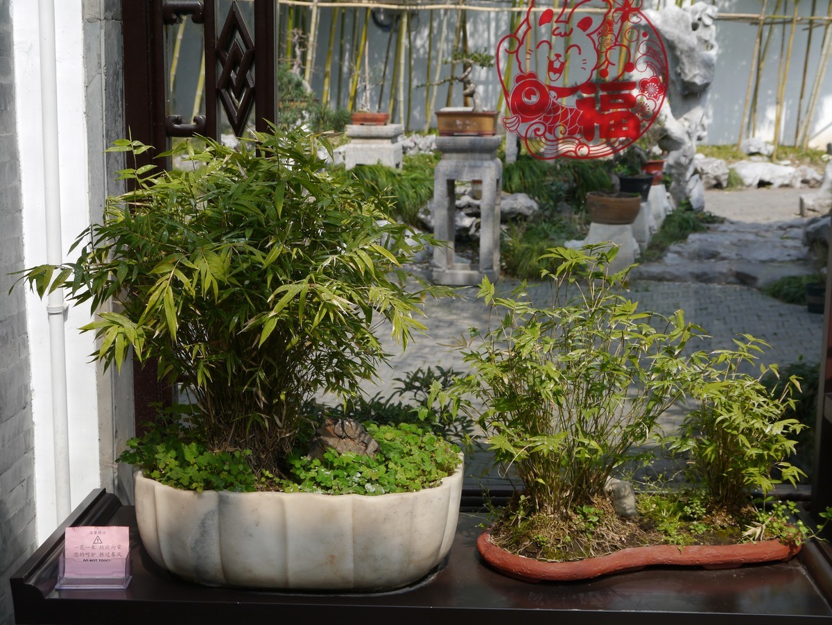 江南行之扬州篇--走进个园（1）