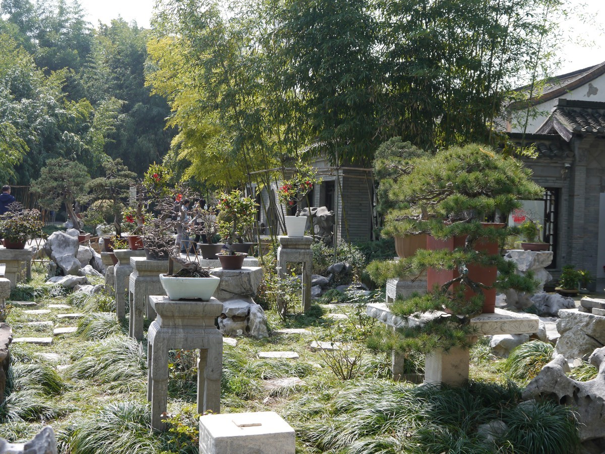 江南行之扬州篇--走进个园（1）