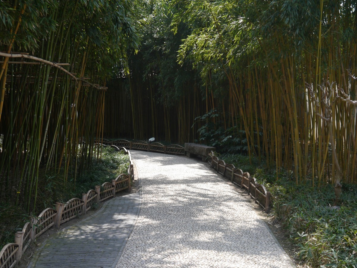 江南行之扬州篇--走进个园（1）