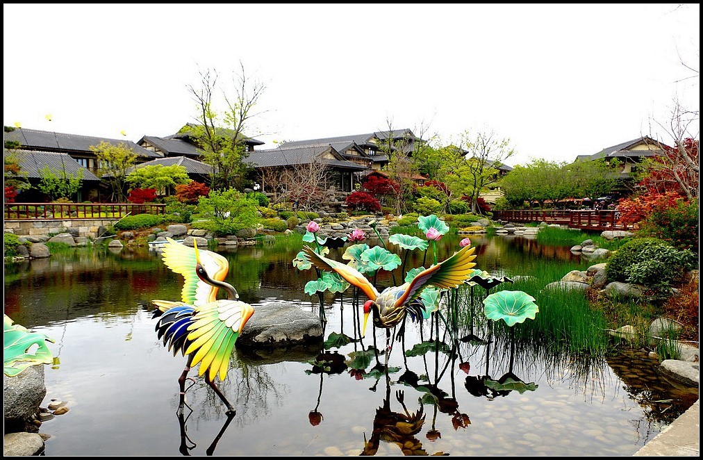 青岛阿朵花屿  【1022】