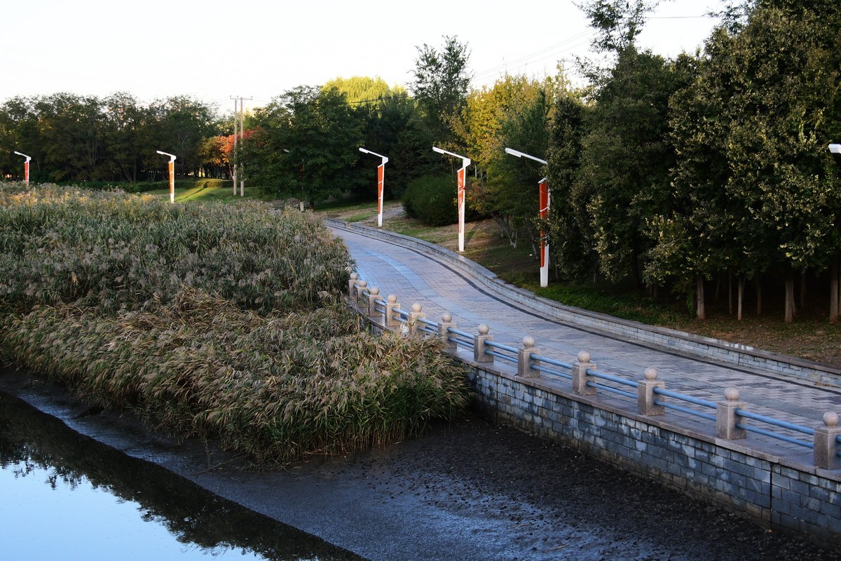 周日城边溜达抓住秋天的小尾巴
