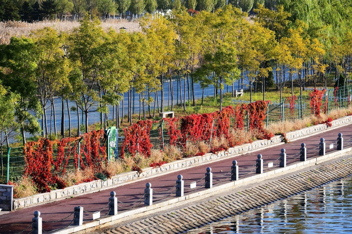 周日城边溜达抓住秋天的小尾巴