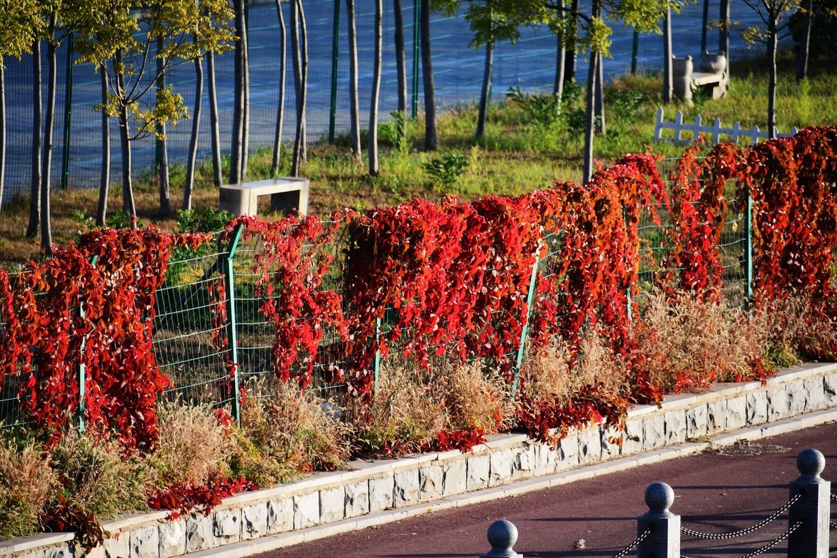 周日城边溜达抓住秋天的小尾巴