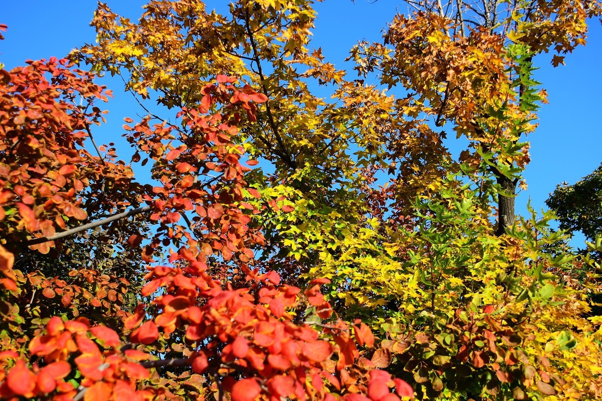 周日城边溜达抓住秋天的小尾巴