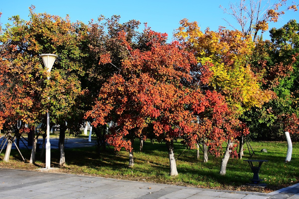 周日城边溜达抓住秋天的小尾巴