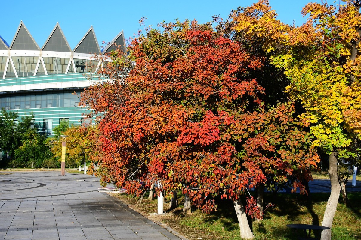 周日城边溜达抓住秋天的小尾巴