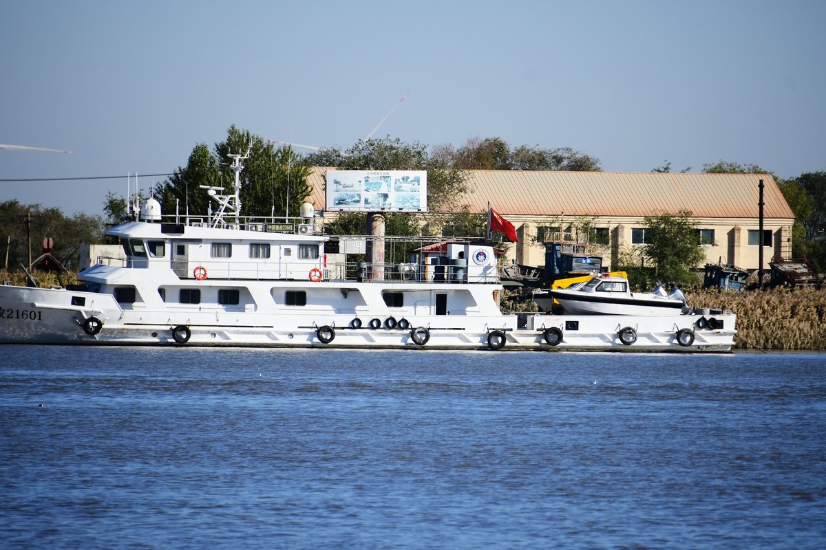 周日城边溜达抓住秋天的小尾巴