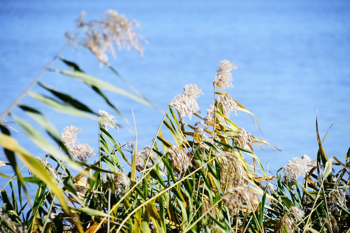 周日城边溜达抓住秋天的小尾巴